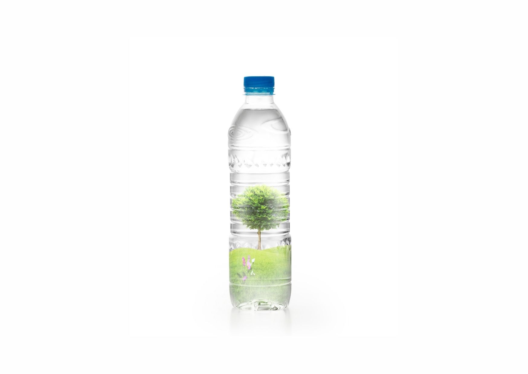 Cosa fa Coripet | Acqua Sorgesna