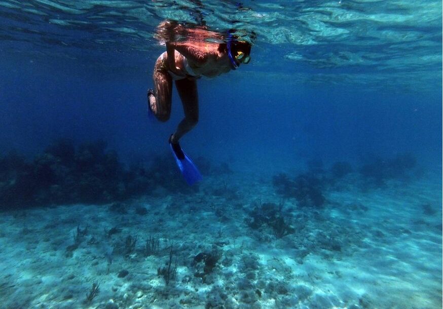 Sport. estivi | Acqua Sorgesana naturale oligominerale