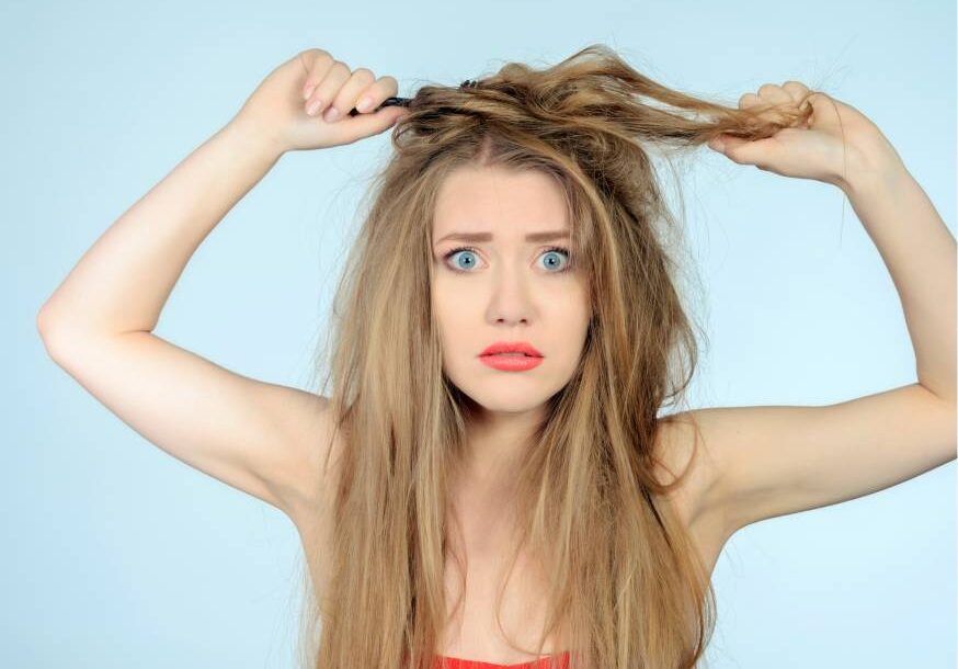 Abbeveratoio Per Api In Plastica - Alimentatore Per Alveari, Facile Da Pulire E Atossico