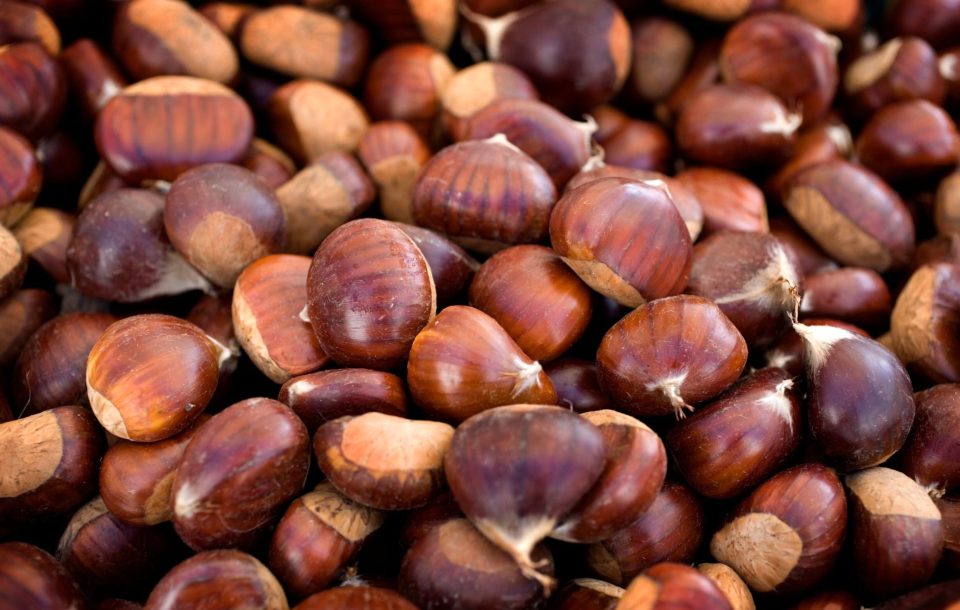 come usare le castagne per la skincare