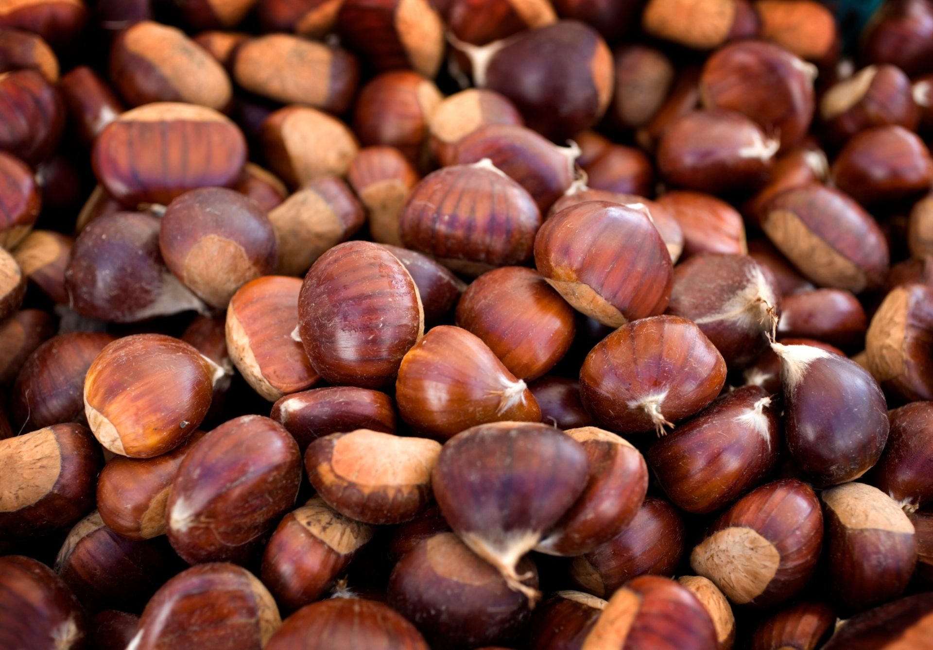 come usare le castagne per la skincare