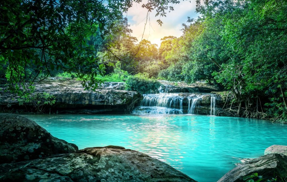 acqua come linguaggio universale