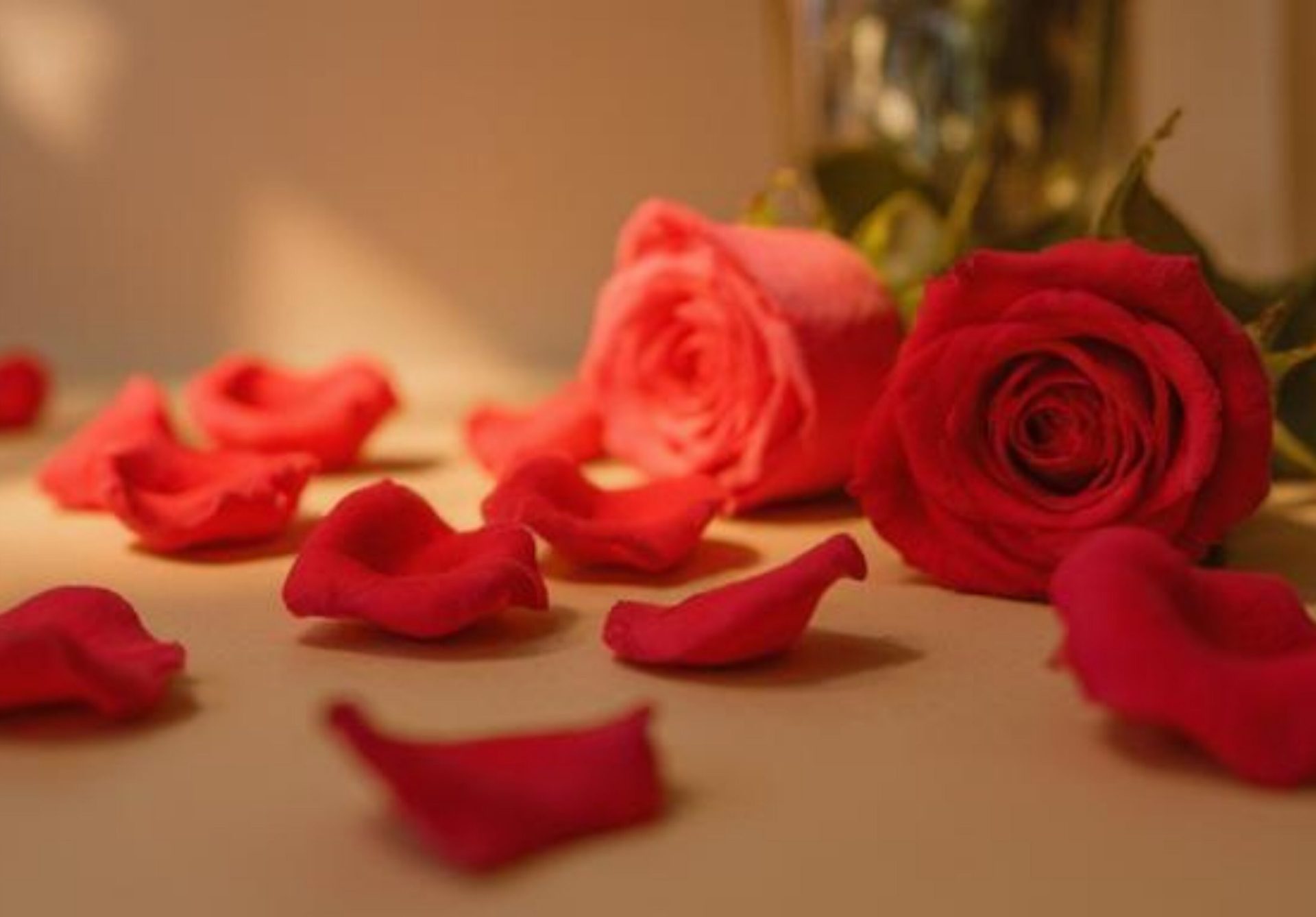 cena san valentino